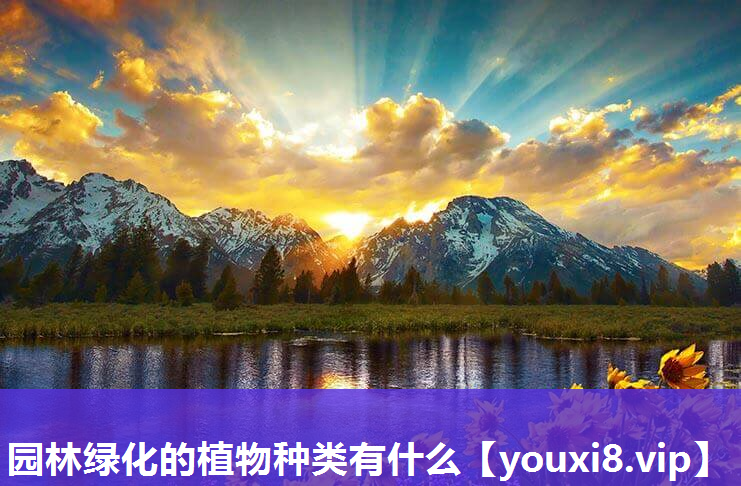 园林绿化的植物种类有什么